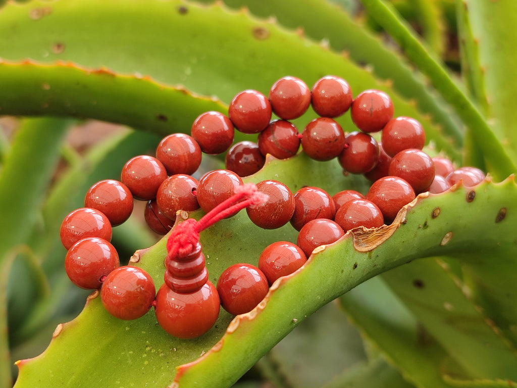 Polished Red Jasper Beaded Stretch Buddha Bracelet - Sold Per Item - From South Africa - Toprock Gemstones and Minerals 
