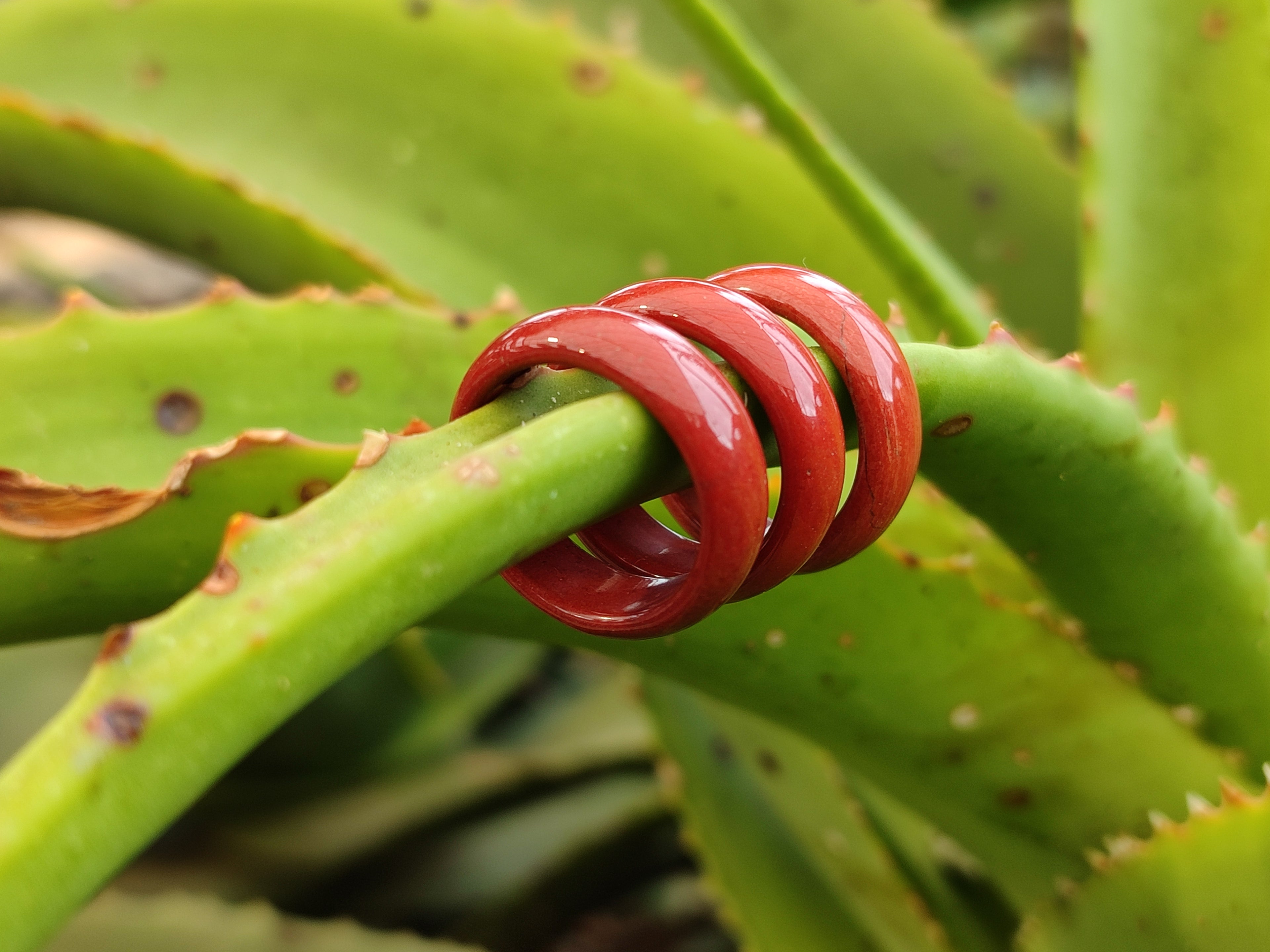 Hand Made 17mm Red Jasper Rings - sold per item - From South Africa - Toprock Gemstones and Minerals 