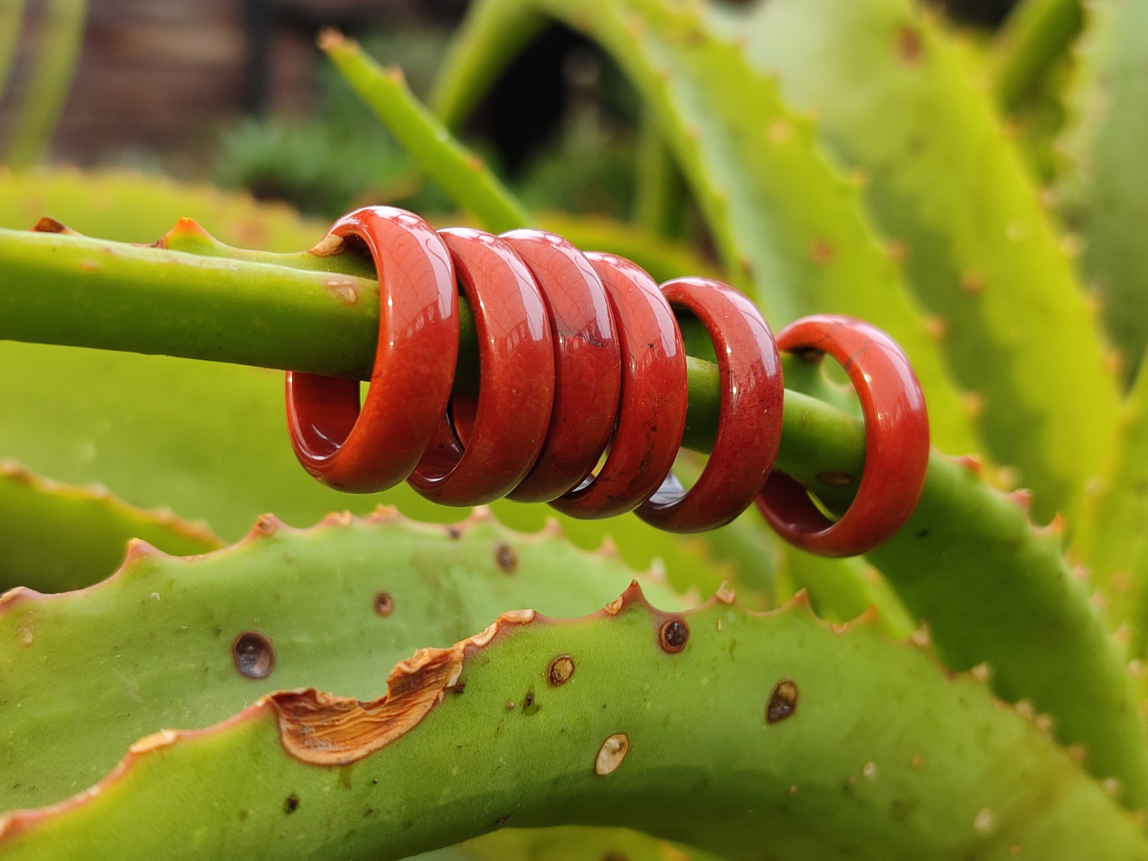 Hand Made 16.5mm Red Jasper Rings - sold per item - From South Africa - Toprock Gemstones and Minerals 
