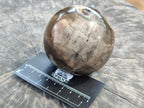 Polished Petrified Wood Spheres x 3 From Gokwe, Zimbabwe - Toprock Gemstones and Minerals 