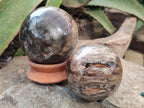 Polished Petrified Wood Spheres x 3 From Gokwe, Zimbabwe - Toprock Gemstones and Minerals 