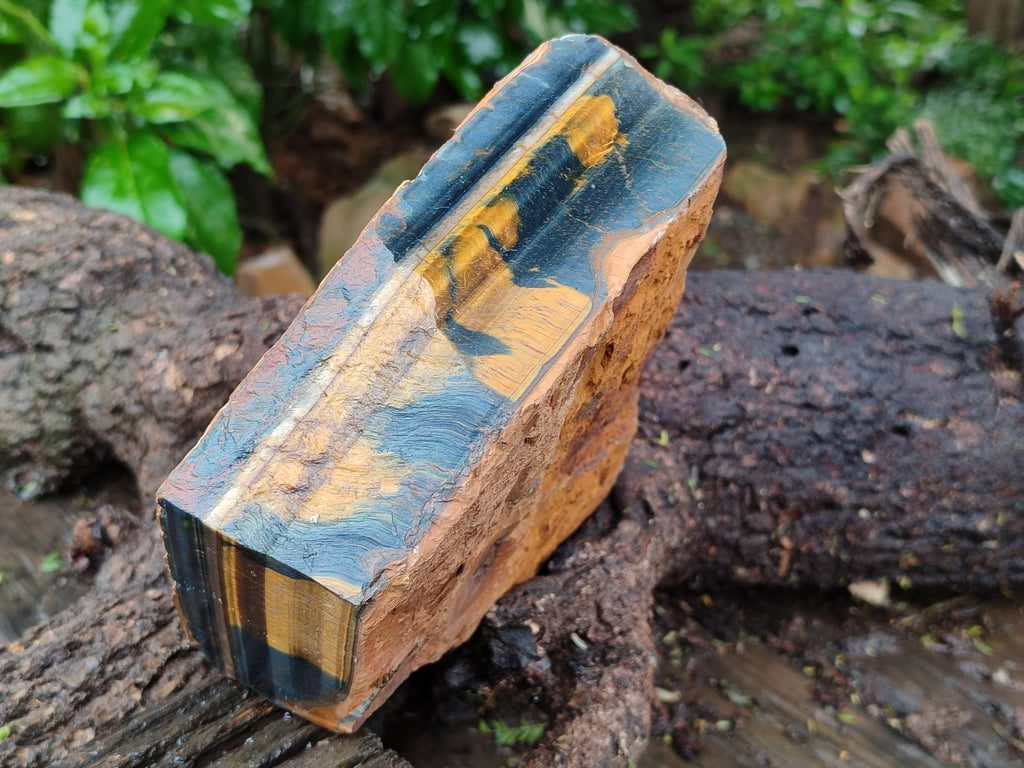 Polished On One Side Tiger's Eye Slabs x 2 From Prieska, South Africa - Toprock Gemstones and Minerals 