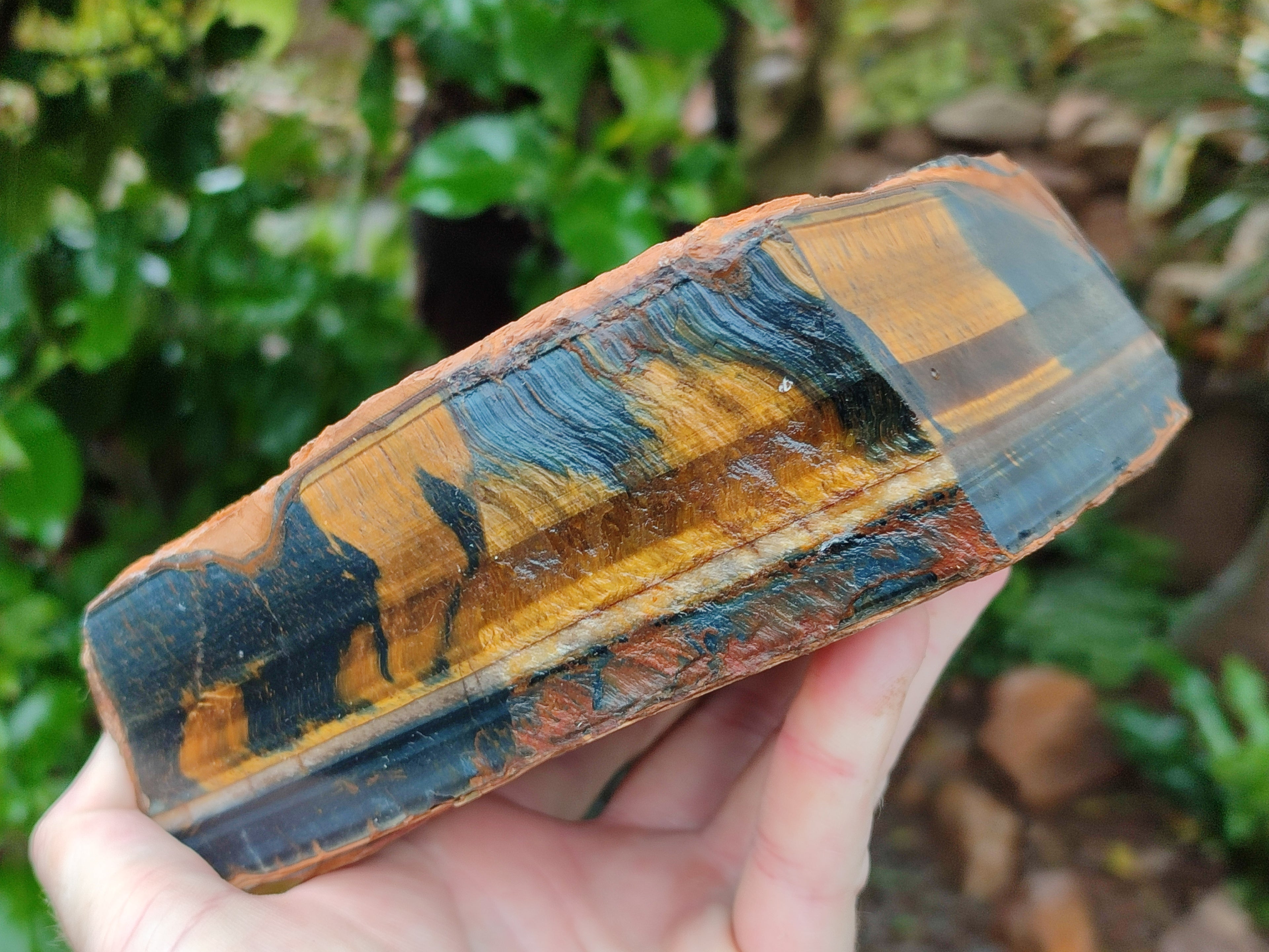 Polished On One Side Tiger's Eye Slabs x 2 From Prieska, South Africa - Toprock Gemstones and Minerals 