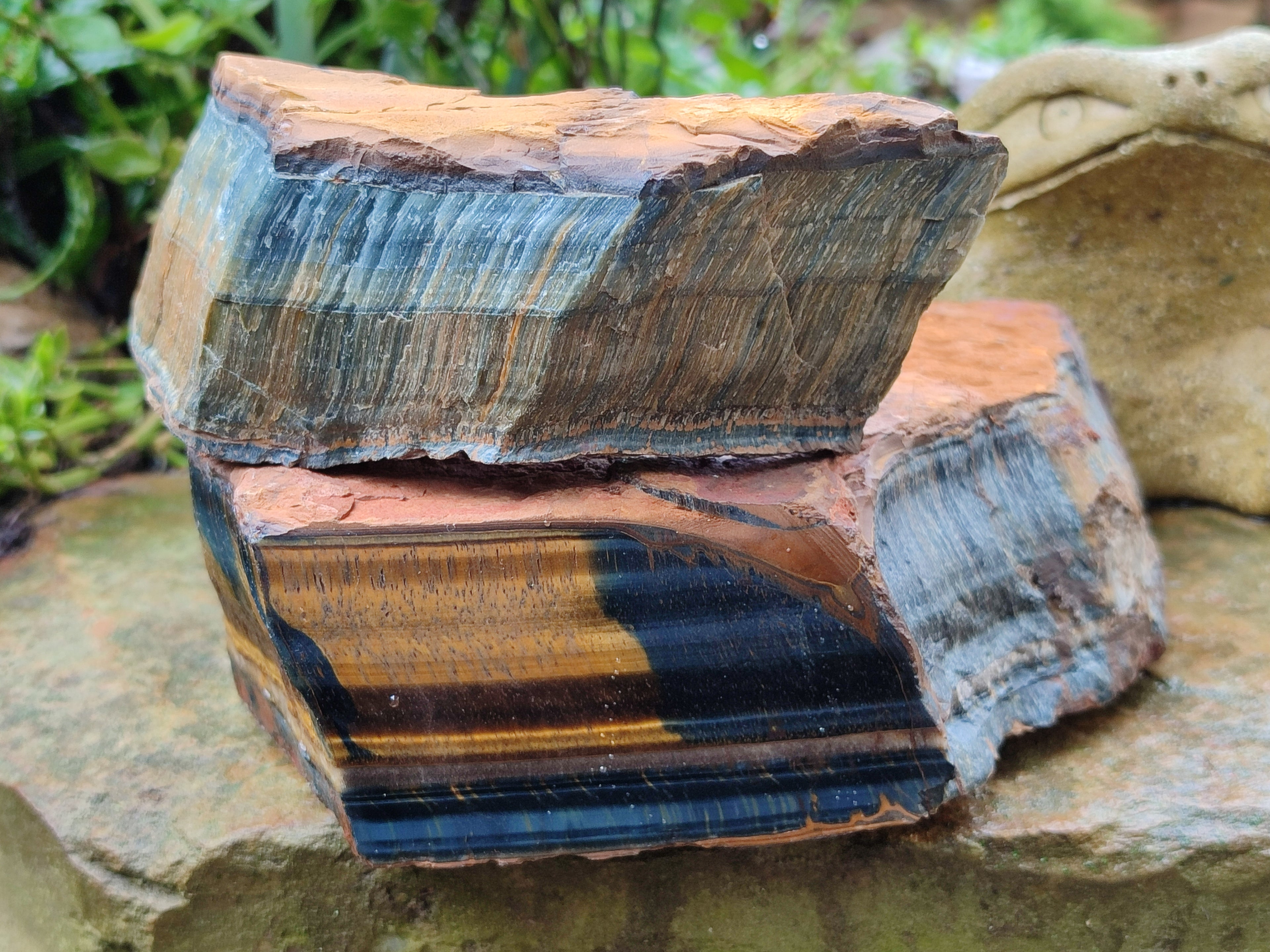 Polished On One Side Tiger's Eye Slabs x 2 From Prieska, South Africa - Toprock Gemstones and Minerals 