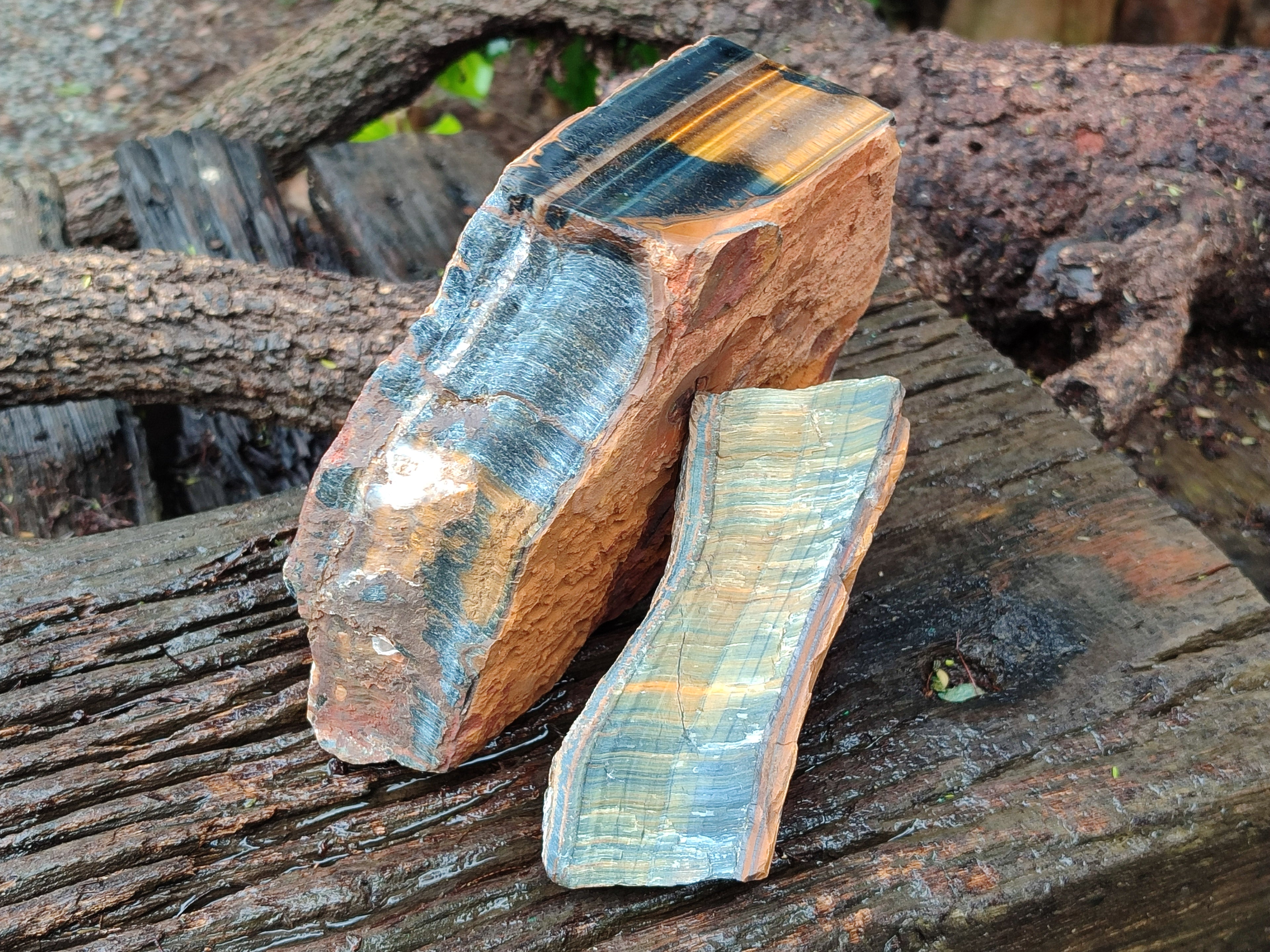 Polished On One Side Tiger's Eye Slabs x 2 From Prieska, South Africa - Toprock Gemstones and Minerals 