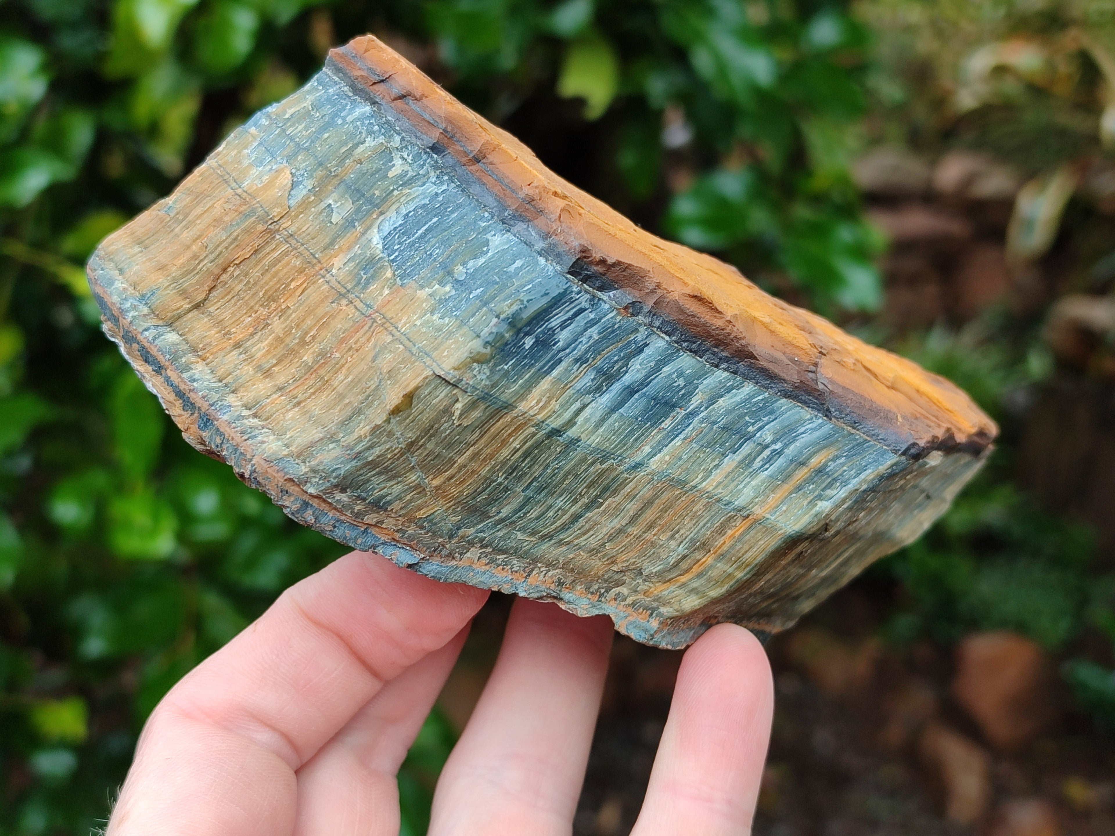 Polished On One Side Tiger's Eye Slabs x 2 From Prieska, South Africa - Toprock Gemstones and Minerals 