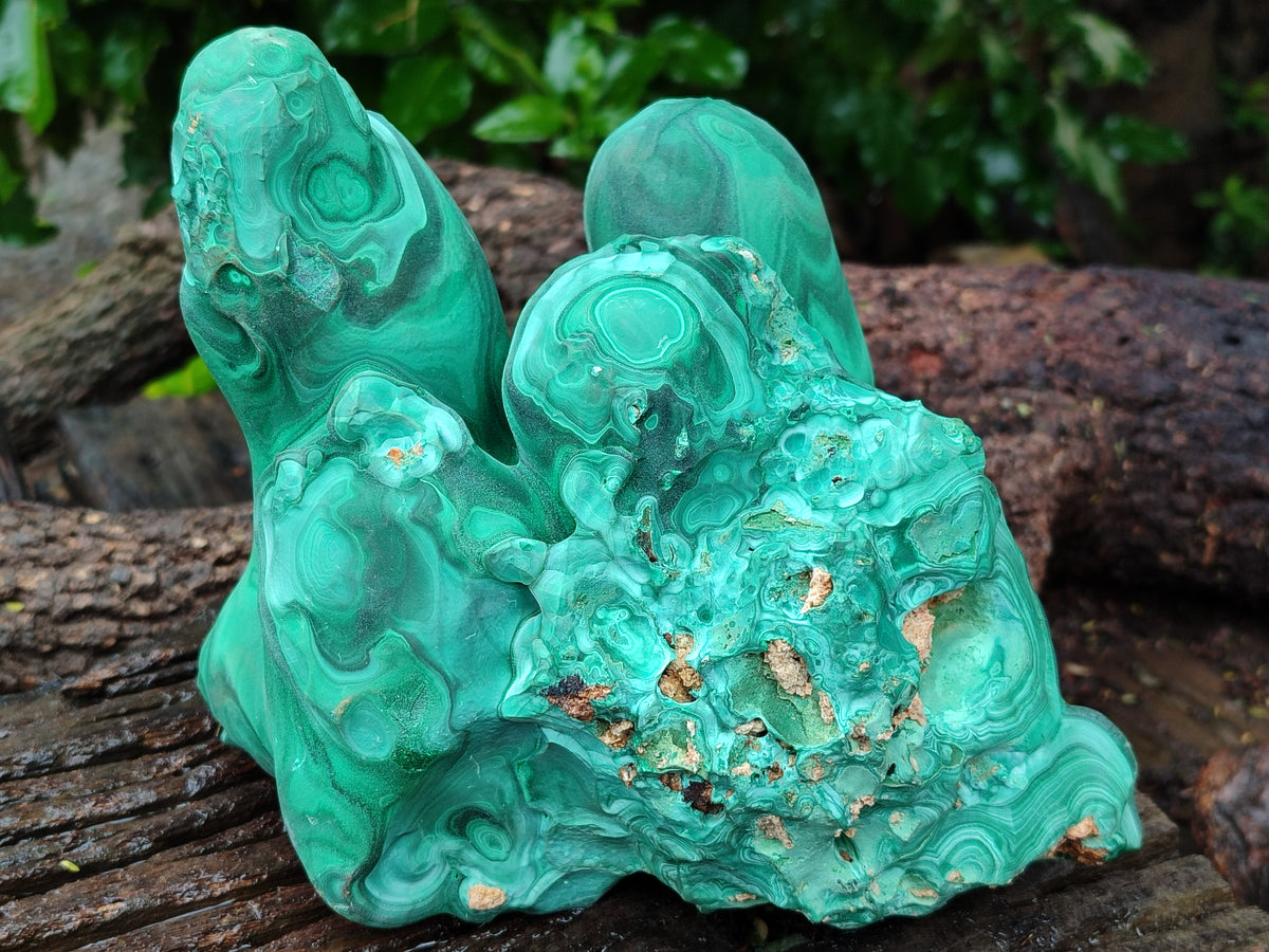 Natural Etched Silky Malachite Stalactite Specimen x 1 From Congo - Toprock Gemstones and Minerals 