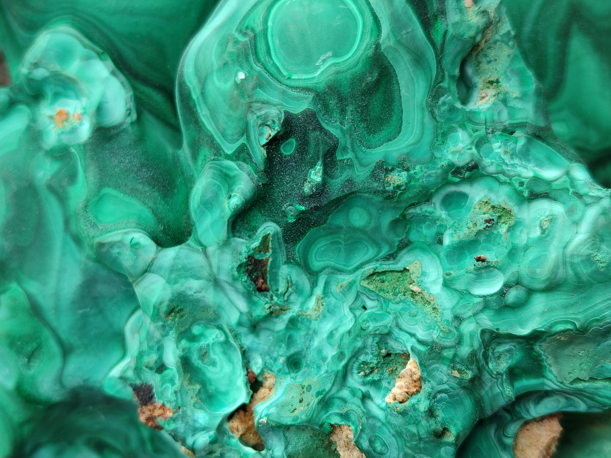 Natural Etched Silky Malachite Stalactite Specimen x 1 From Congo - Toprock Gemstones and Minerals 