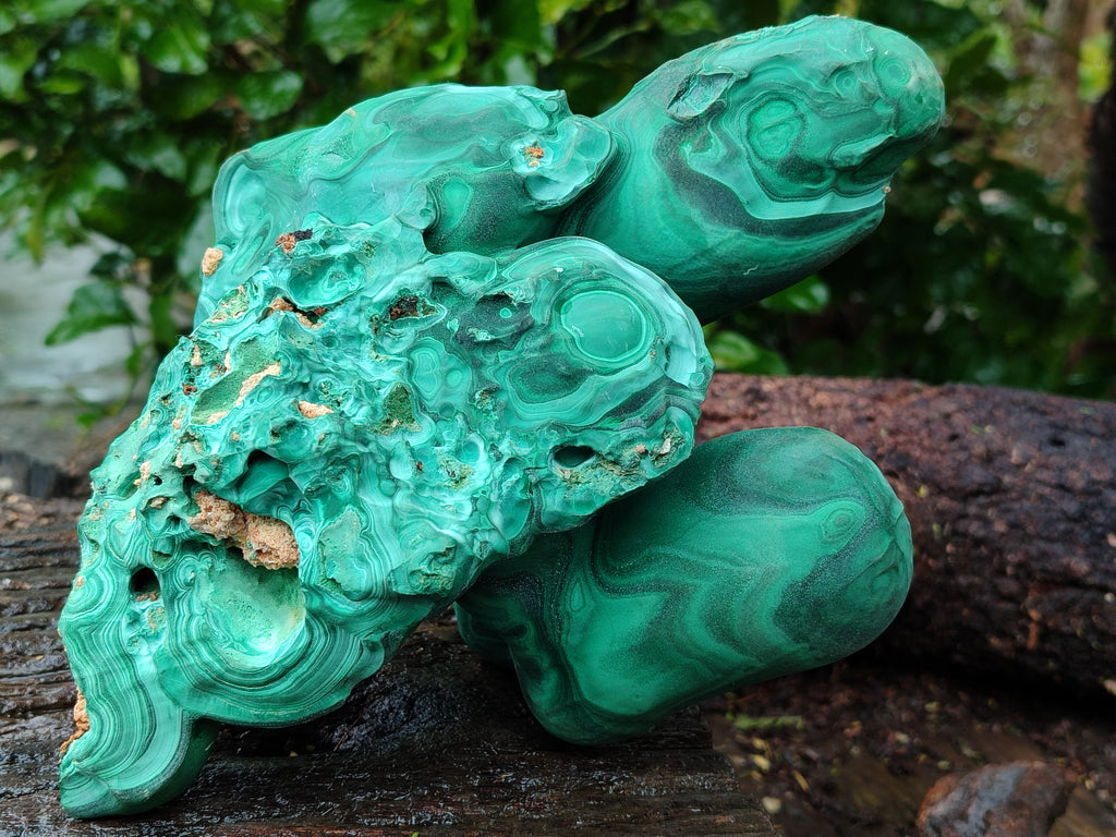 Natural Etched Silky Malachite Stalactite Specimen x 1 From Congo - Toprock Gemstones and Minerals 