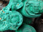 Natural Etched Silky Malachite Stalactite Specimen x 1 From Congo - Toprock Gemstones and Minerals 