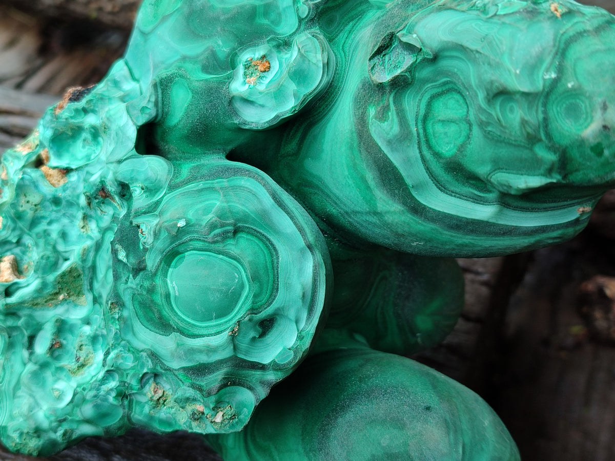 Natural Etched Silky Malachite Stalactite Specimen x 1 From Congo - Toprock Gemstones and Minerals 