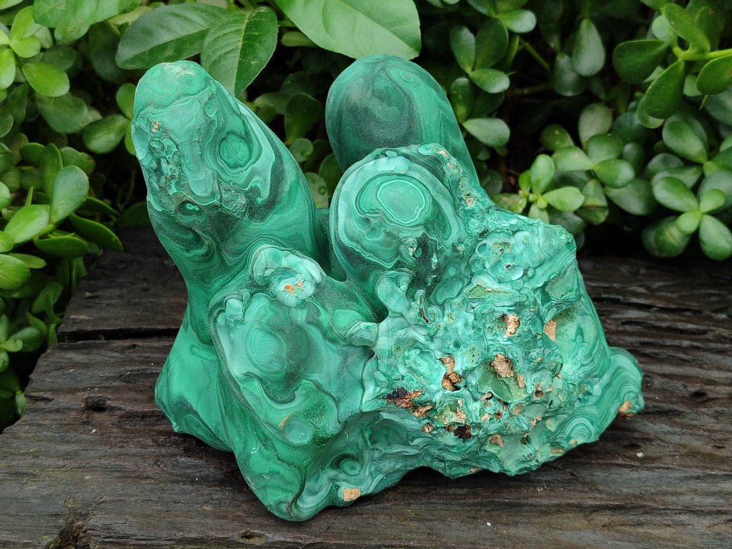 Natural Etched Silky Malachite Stalactite Specimen x 1 From Congo - Toprock Gemstones and Minerals 