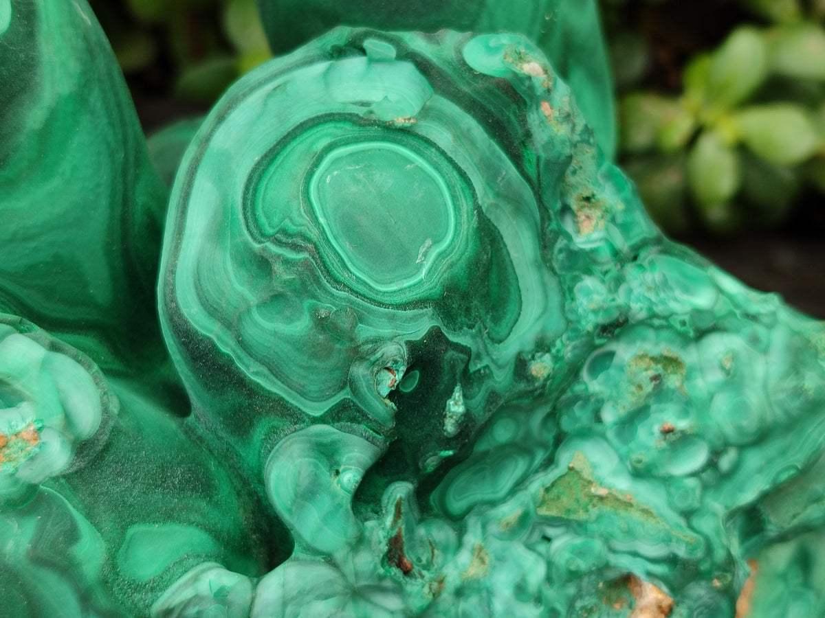 Natural Etched Silky Malachite Stalactite Specimen x 1 From Congo - Toprock Gemstones and Minerals 