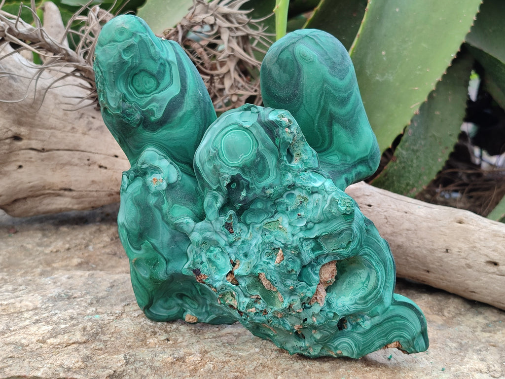 Natural Etched Silky Malachite Stalactite Specimen x 1 From Congo - Toprock Gemstones and Minerals 