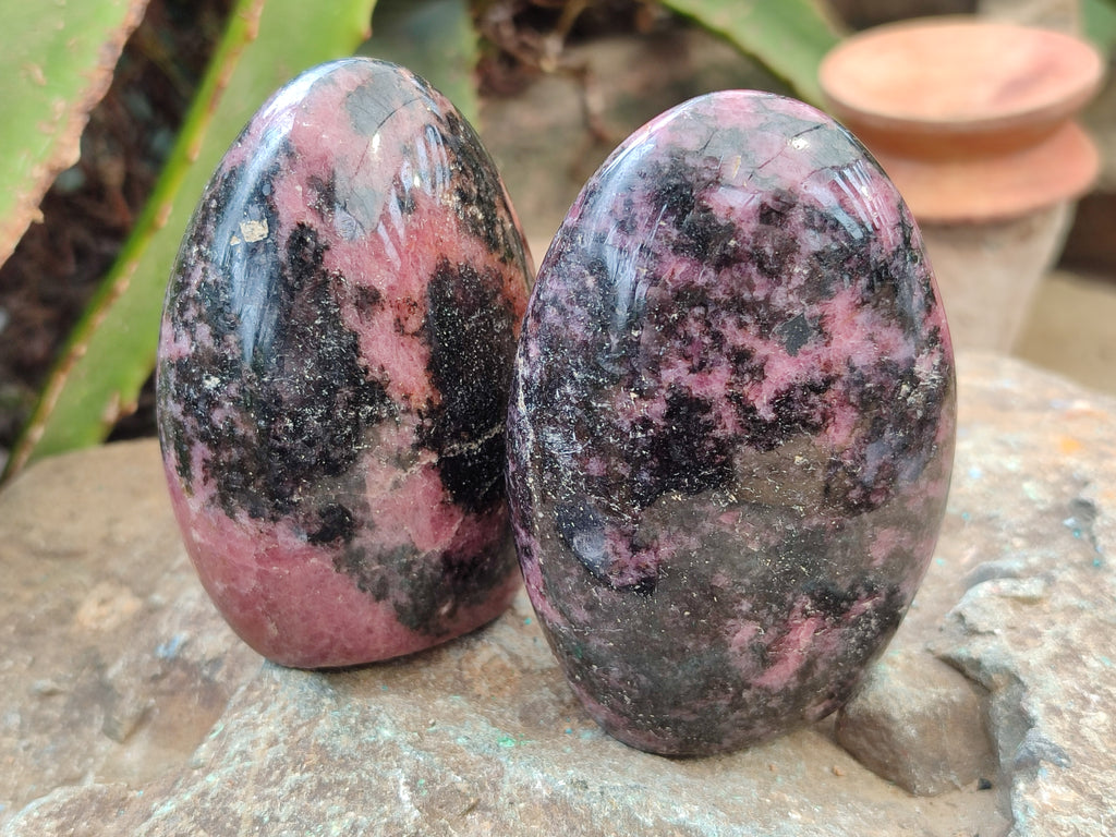 Polished Rhodonite Standing Free Forms x 6 From Ambindavato, Madagascar - Toprock Gemstones and Minerals 