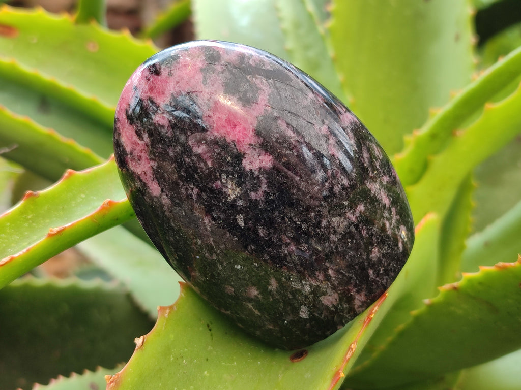 Polished Rhodonite Standing Free Forms x 6 From Ambindavato, Madagascar - Toprock Gemstones and Minerals 