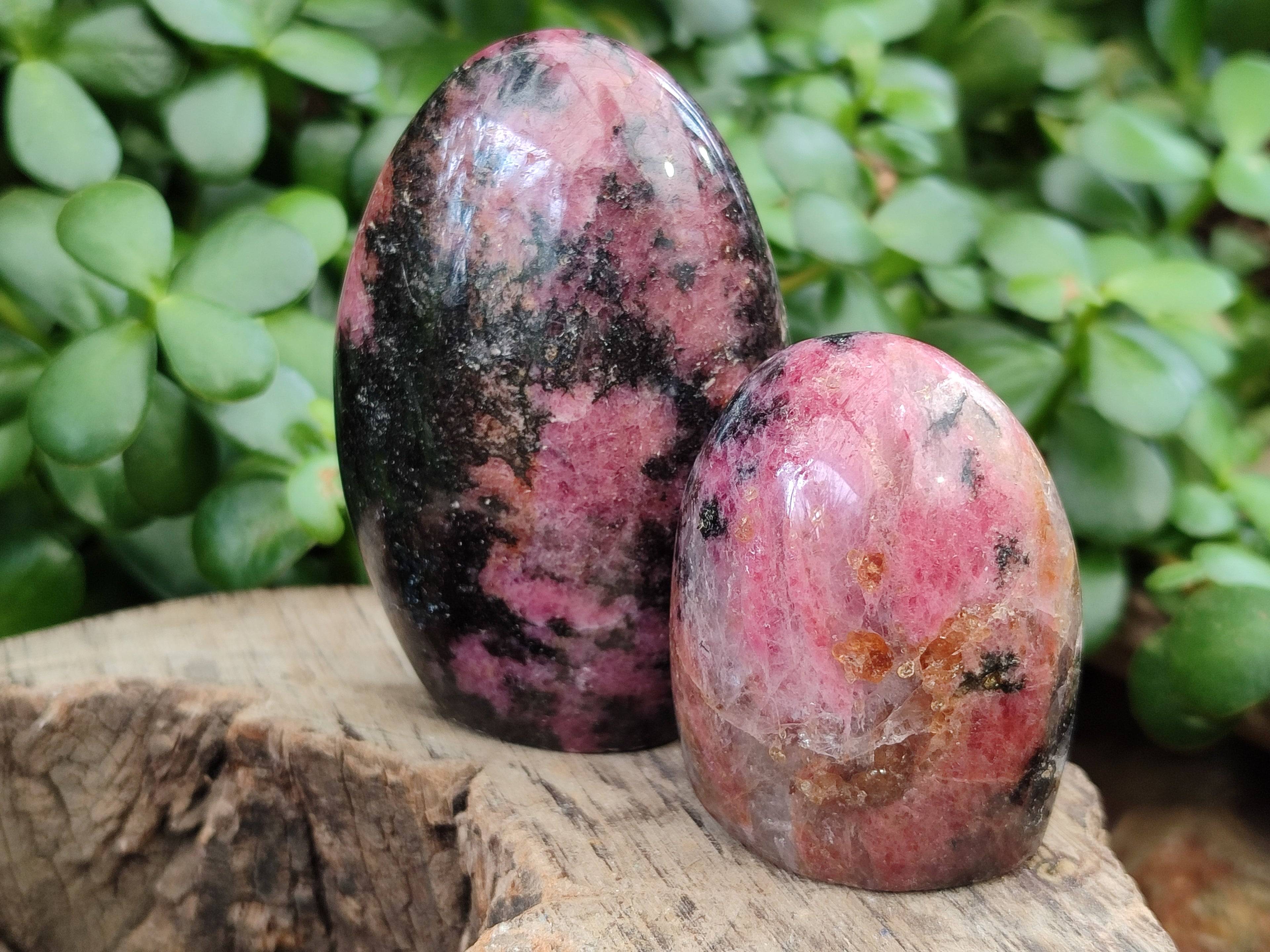 Polished Rhodonite Standing Free Forms x 6 From Ambindavato, Madagascar - Toprock Gemstones and Minerals 