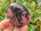 Polished Rhodonite Standing Free Forms x 6 From Ambindavato, Madagascar - Toprock Gemstones and Minerals 
