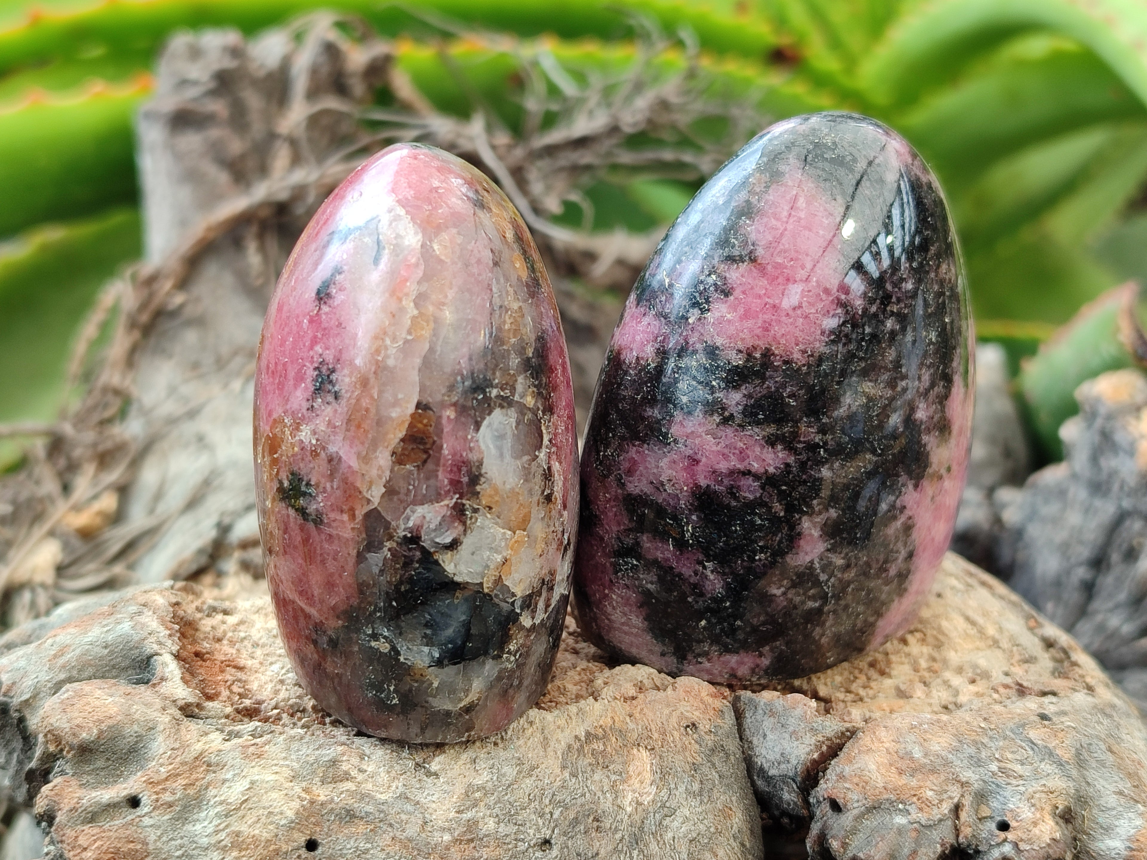 Polished Rhodonite Standing Free Forms x 6 From Ambindavato, Madagascar - Toprock Gemstones and Minerals 