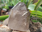 Polished Smokey Quartz Crystals x 3 From Madagascar - Toprock Gemstones and Minerals 
