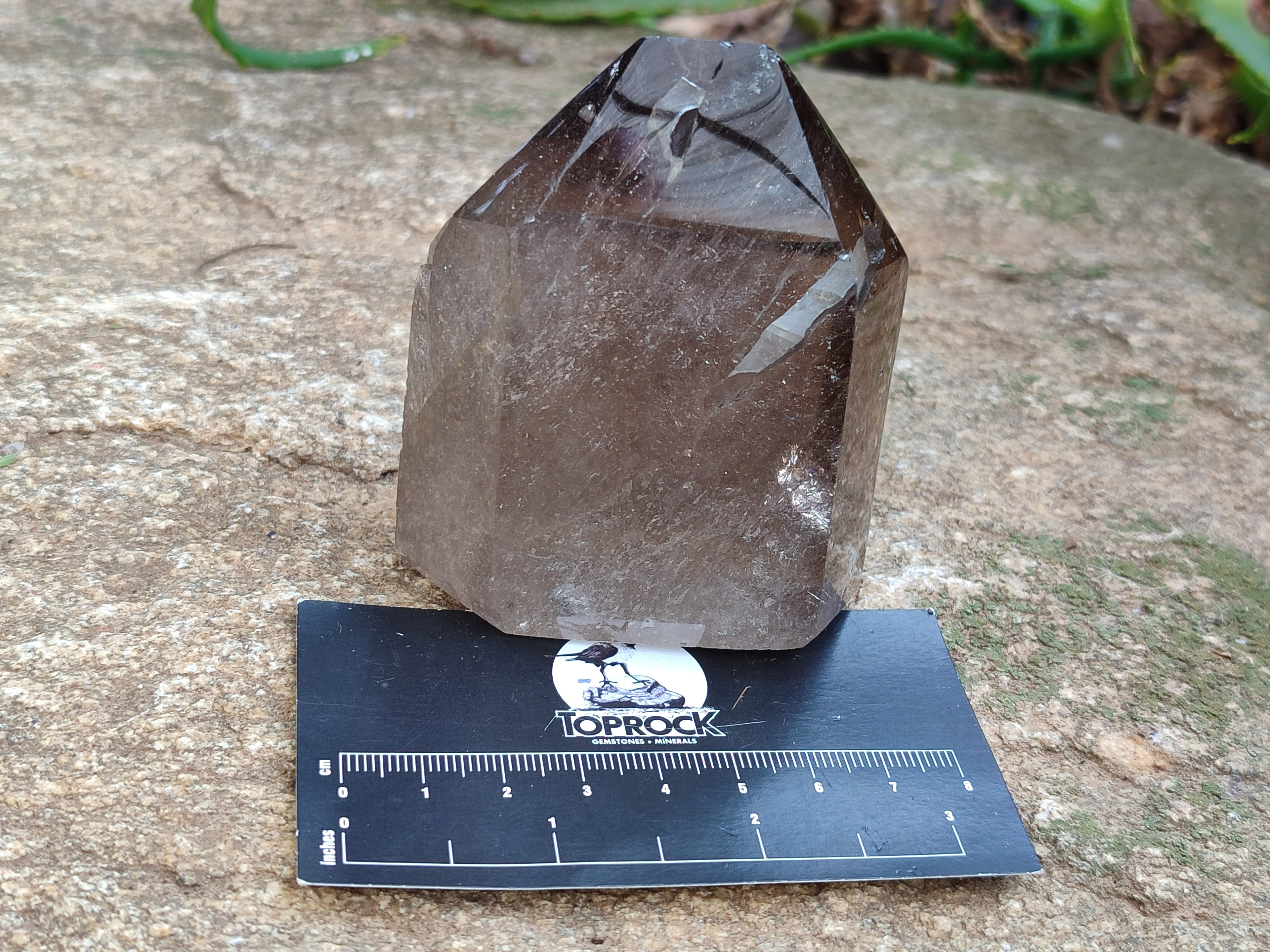 Polished Smokey Quartz Crystals x 3 From Madagascar - Toprock Gemstones and Minerals 