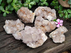 Natural Cactus Flower Spirit Quartz Clusters x 6 From South Africa - Toprock Gemstones and Minerals 