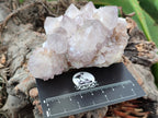 Natural Cactus Flower Spirit Quartz Clusters x 6 From South Africa - Toprock Gemstones and Minerals 