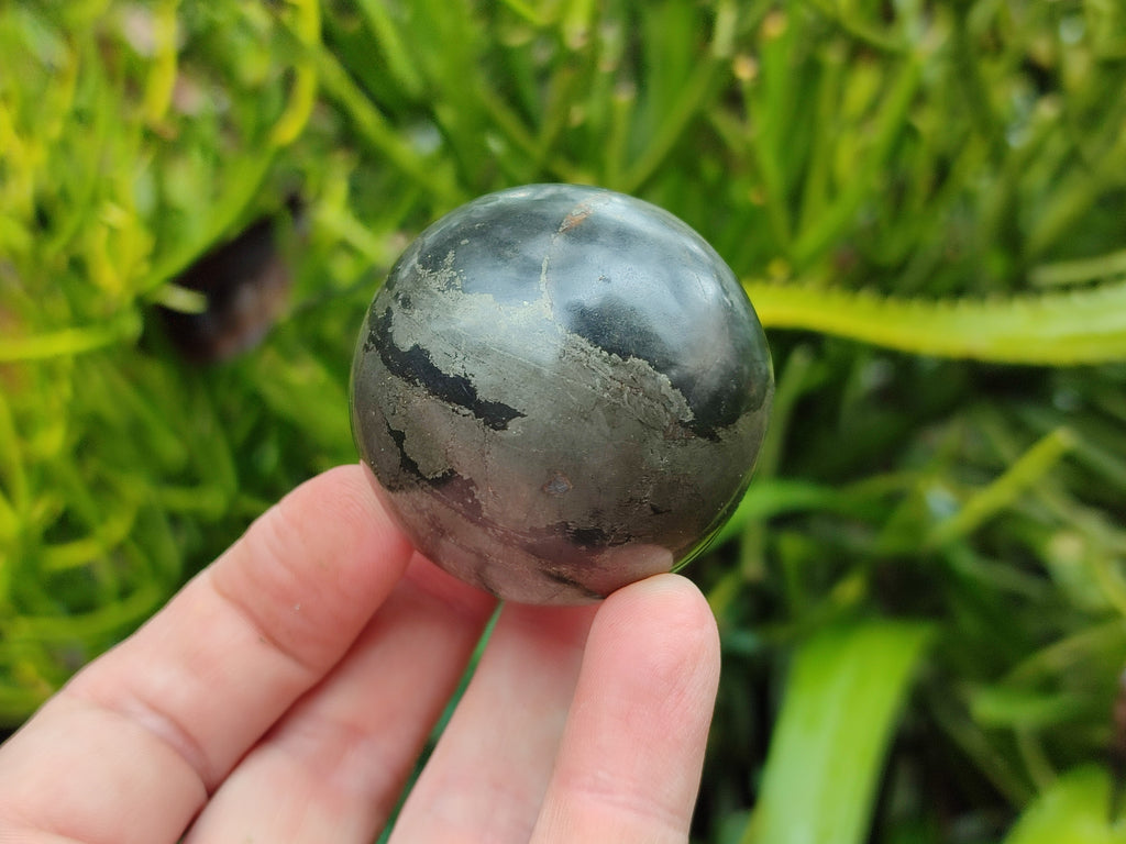 Polished Pharaoh Stone Spheres x 6 Zimbabwe - Toprock Gemstones and Minerals 