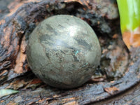 Polished Pharaoh Stone Spheres x 6 Zimbabwe - Toprock Gemstones and Minerals 