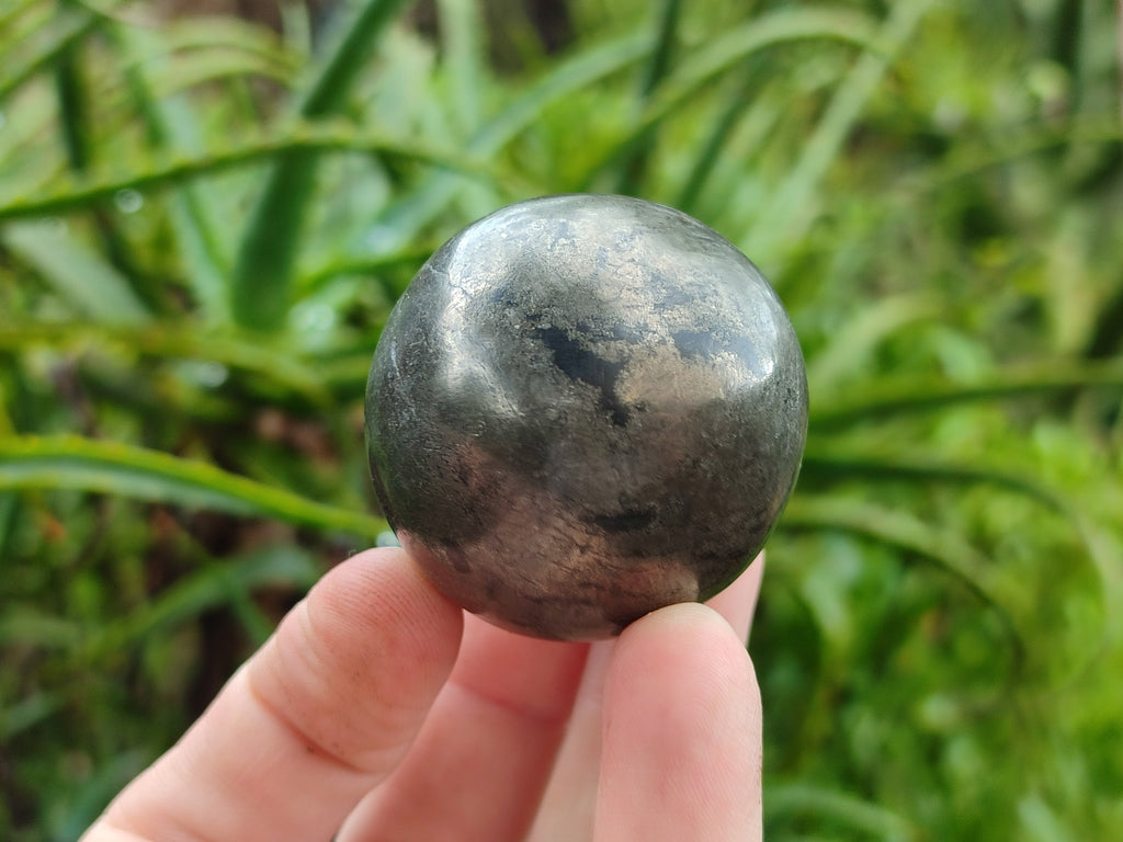 Polished Pharaoh Stone Spheres x 6 Zimbabwe - Toprock Gemstones and Minerals 