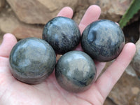 Polished Pharaoh Stone Spheres x 6 Zimbabwe - Toprock Gemstones and Minerals 