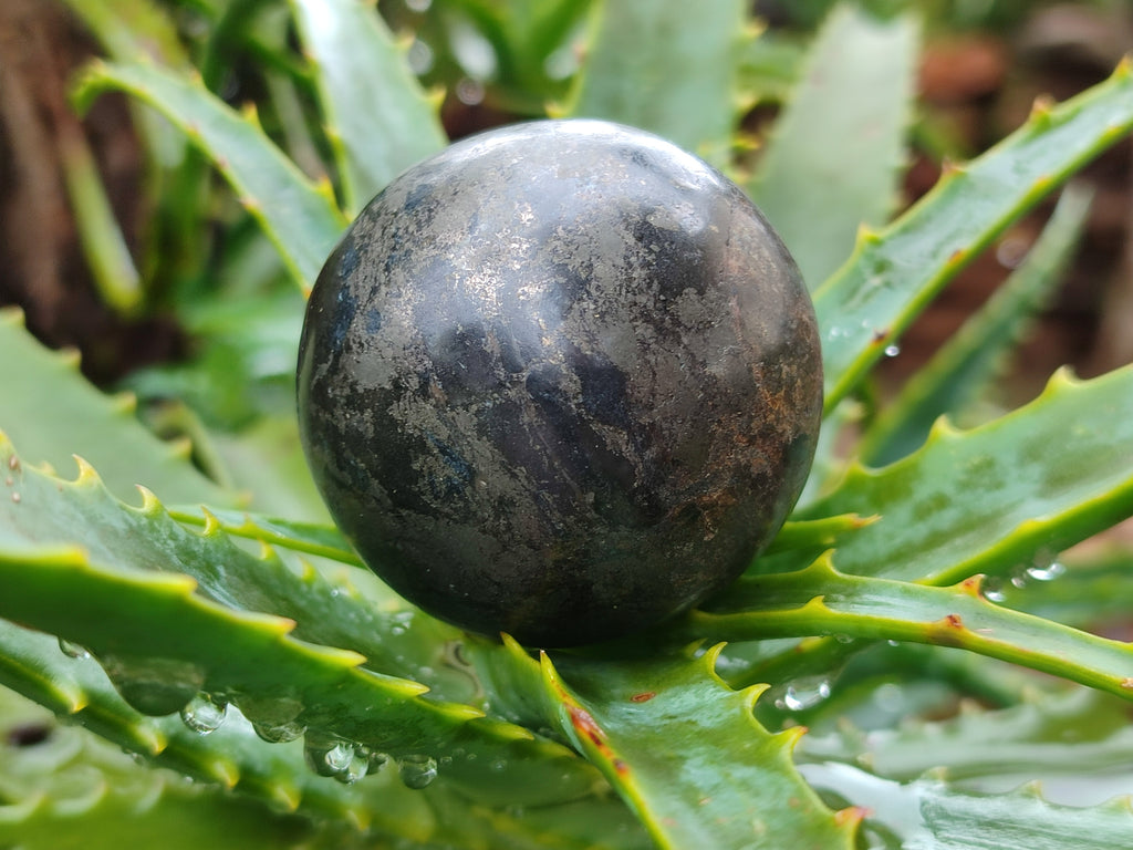 Polished Pharaoh Stone Spheres x 6 Zimbabwe - Toprock Gemstones and Minerals 