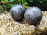 Polished Pharaoh Stone Spheres x 6 Zimbabwe - Toprock Gemstones and Minerals 