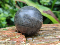 Polished Pharaoh Stone Spheres x 6 Zimbabwe - Toprock Gemstones and Minerals 