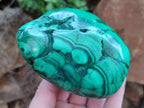 Polished Flower Banded Malachite Free Forms x 2 From Congo - Toprock Gemstones and Minerals 