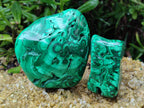 Polished Flower Banded Malachite Free Forms x 2 From Congo - Toprock Gemstones and Minerals 