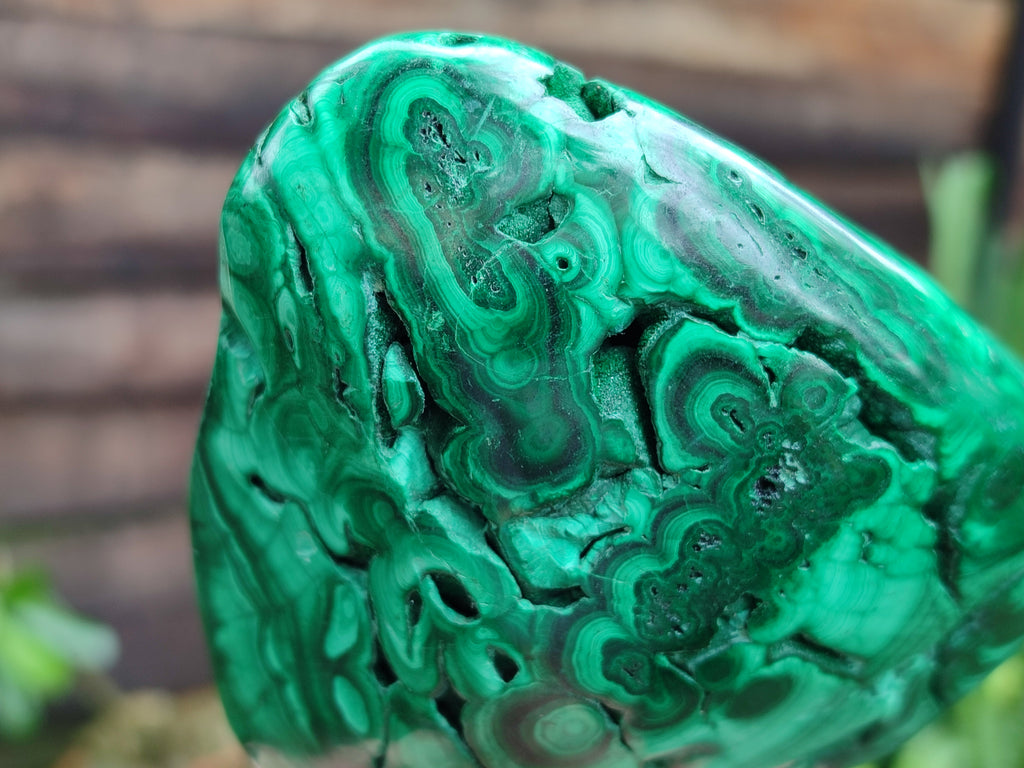 Polished Flower Banded Malachite Free Forms x 2 From Congo - Toprock Gemstones and Minerals 