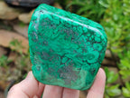 Polished Flower Banded Malachite Free Forms x 2 From Congo - Toprock Gemstones and Minerals 