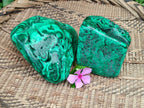 Polished Flower Banded Malachite Free Forms x 2 From Congo - Toprock Gemstones and Minerals 