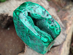 Polished Flower Banded Malachite Free Forms x 2 From Congo - Toprock Gemstones and Minerals 