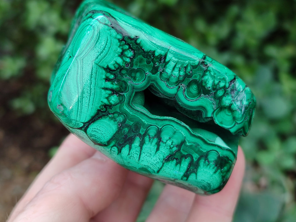 Polished Flower Banded Malachite Free Forms x 2 From Congo - Toprock Gemstones and Minerals 