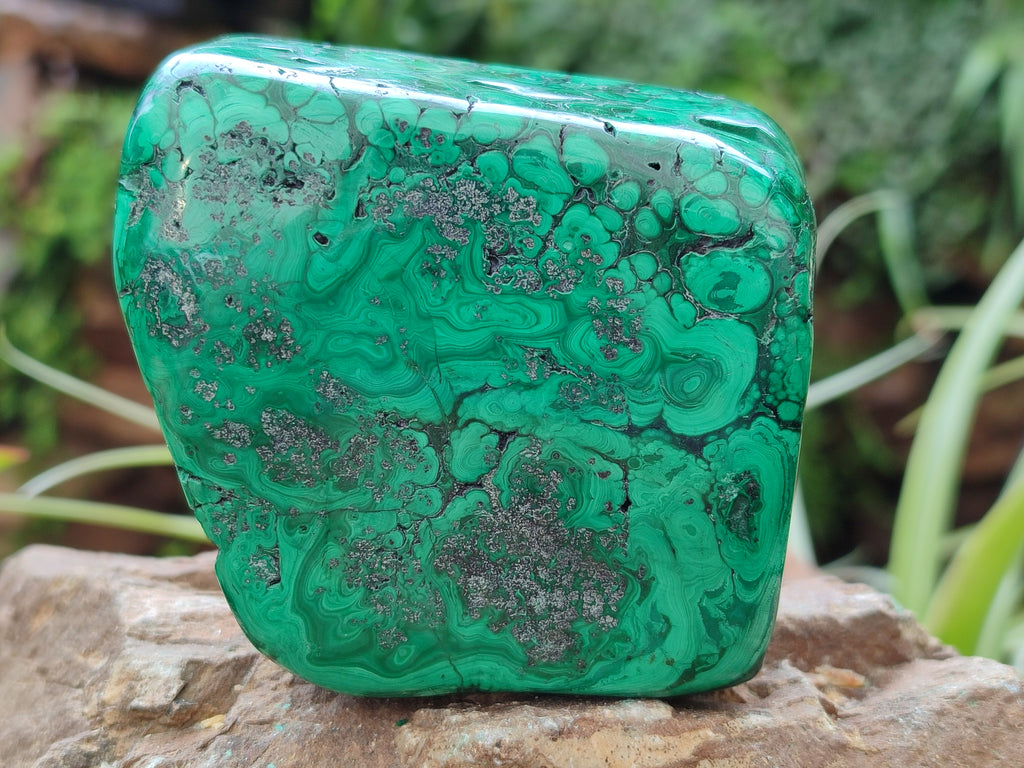 Polished Flower Banded Malachite Free Forms x 2 From Congo - Toprock Gemstones and Minerals 