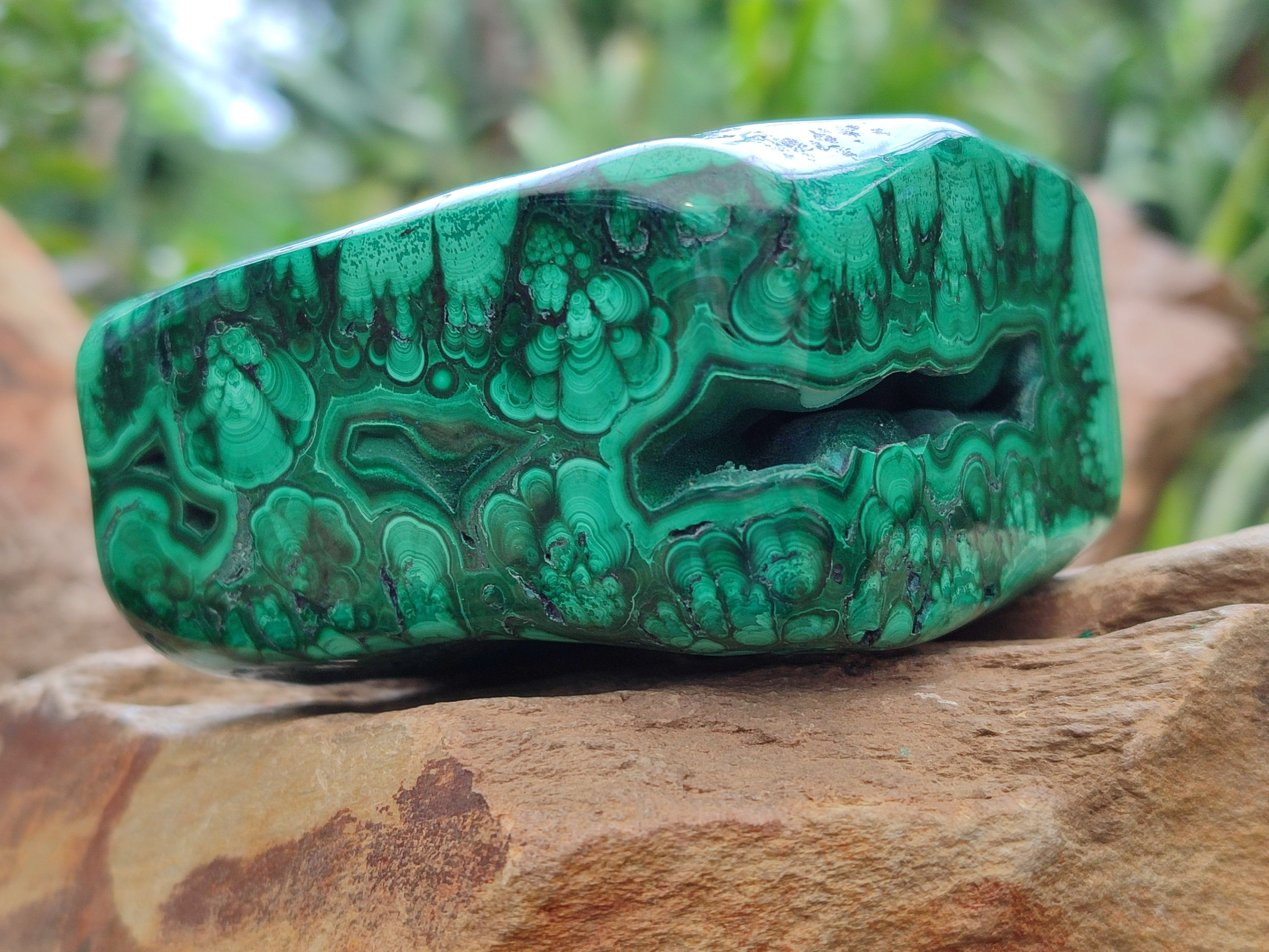 Polished Flower Banded Malachite Free Forms x 2 From Congo - Toprock Gemstones and Minerals 