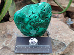 Polished Flower Banded Malachite Free Forms x 2 From Congo - Toprock Gemstones and Minerals 