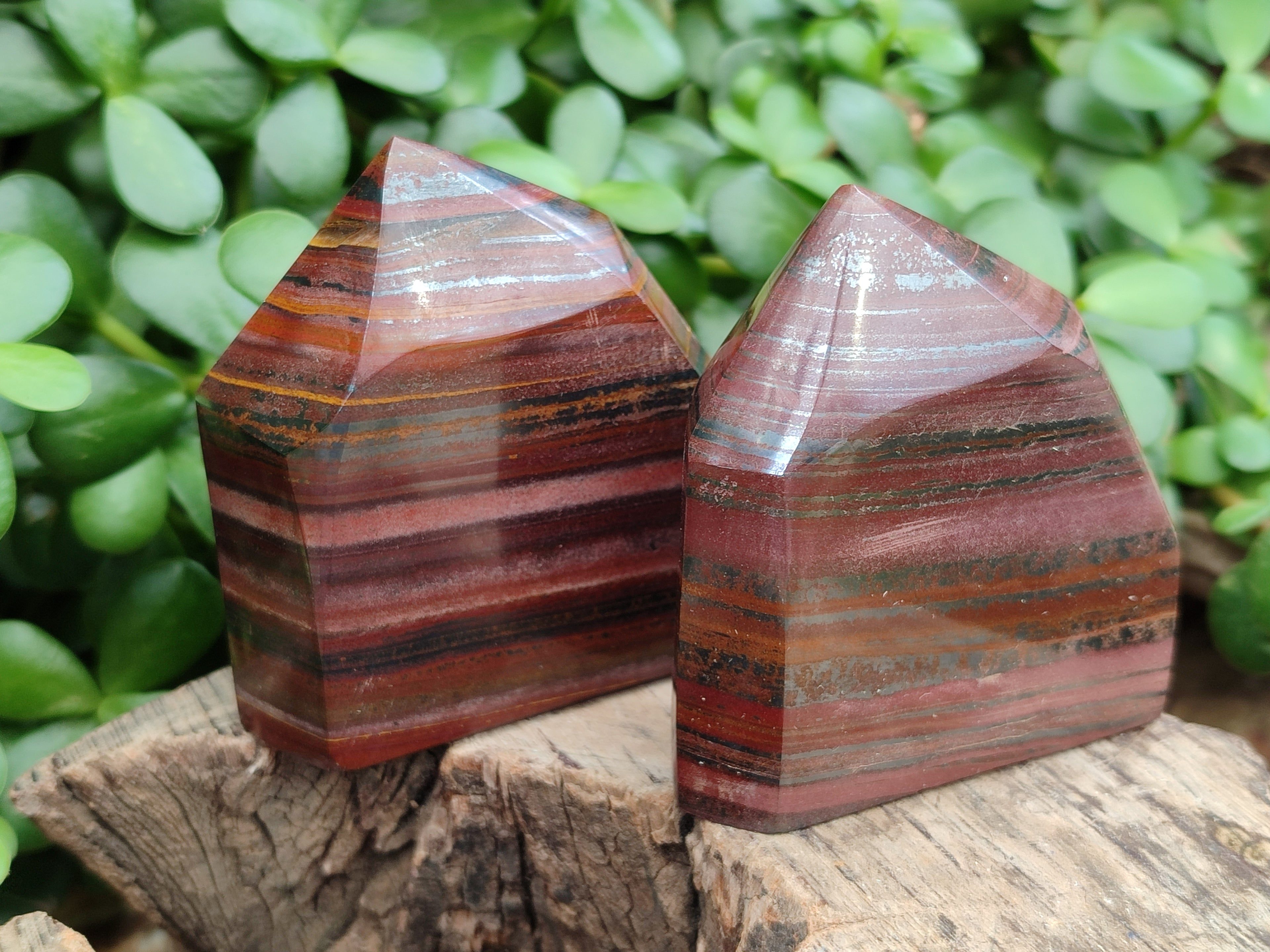 Polished Tiger Iron Jasper Points x 5 From South Africa - Toprock Gemstones and Minerals 