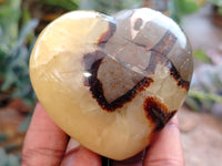 Polished Septerye Hearts x 6 From Mahajanga, Madagascar