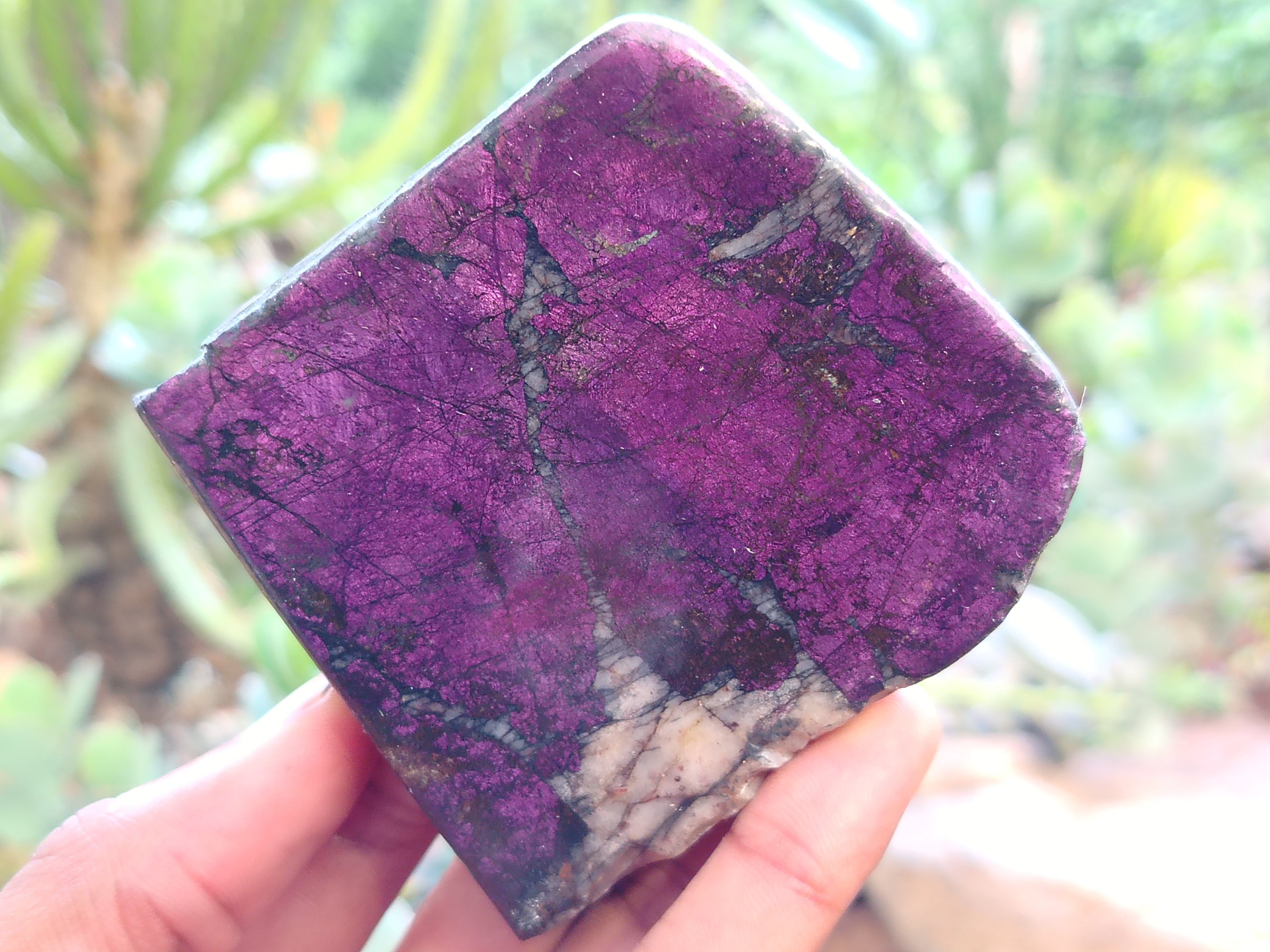 Polished On One Side Purpurite x 6 From Namibia - Toprock Gemstones and Minerals 