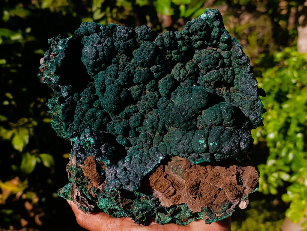 Natural Botryoidal Malachite Specimens x 1 From Tenke Fungurume, Congo - Toprock Gemstones and Minerals 