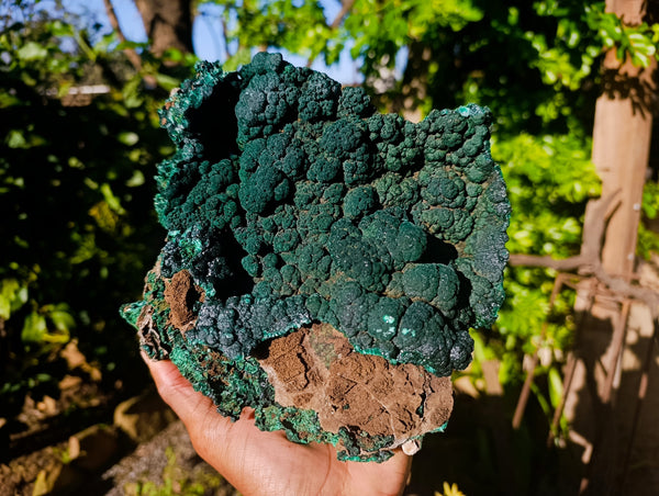 Natural Botryoidal Malachite Specimens x 1 From Tenke Fungurume, Congo