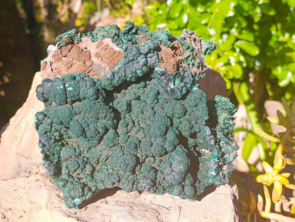 Natural Botryoidal Malachite Specimens x 1 From Tenke Fungurume, Congo - Toprock Gemstones and Minerals 